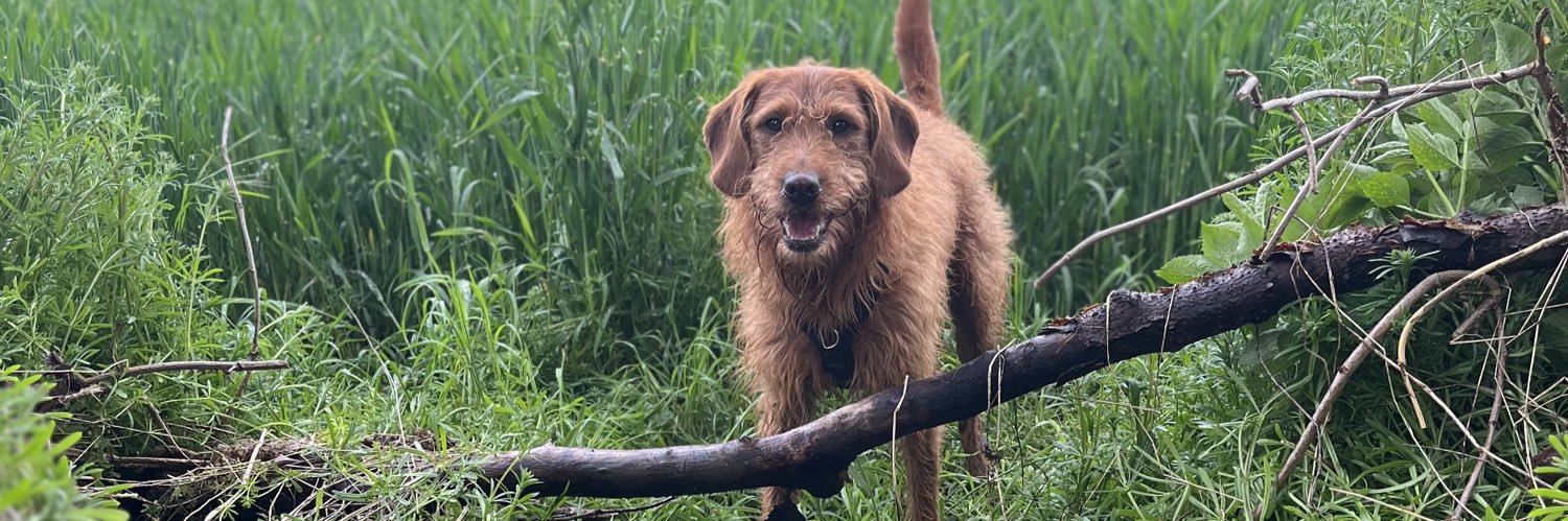 Ellie Atkinson banner