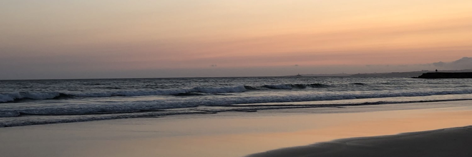 ᴠᴇʀᴏᴏɴɪᴄᴀɢᴀʀᴄɪɪᴀ banner
