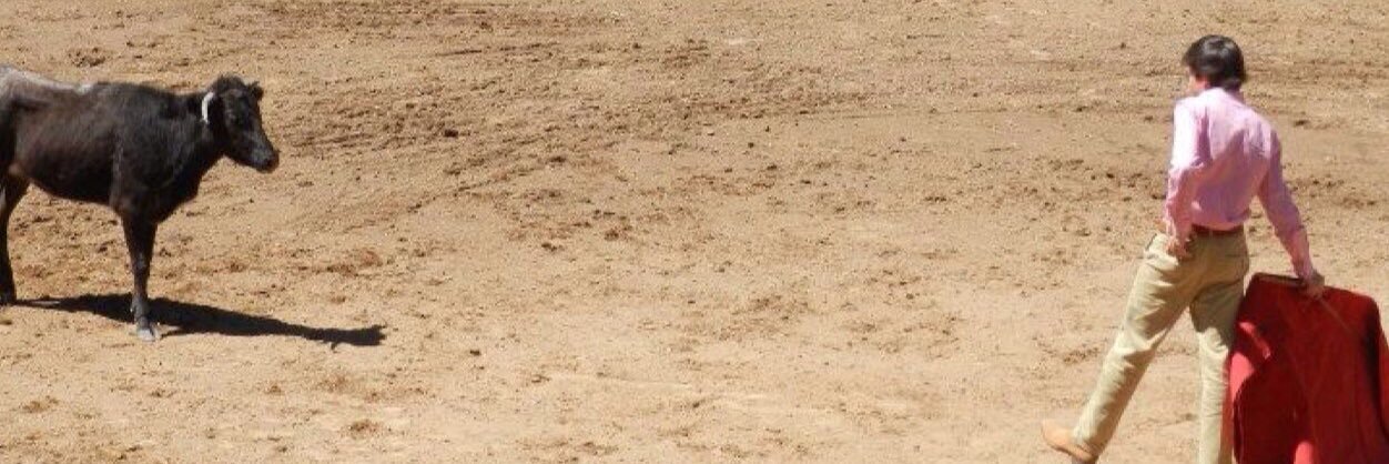 llamas_emmanuel's profile banner image