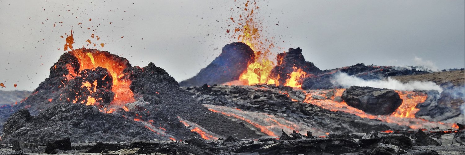 Jacqueline Grech Licari banner