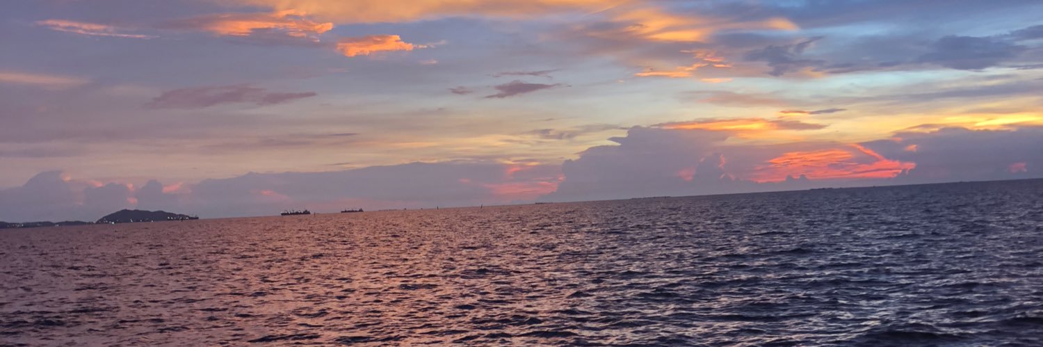 noppachyza's profile banner image