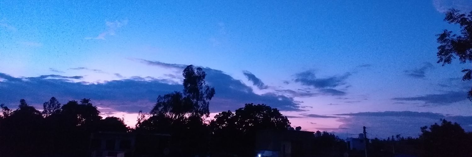 MSNishu_1's profile banner image