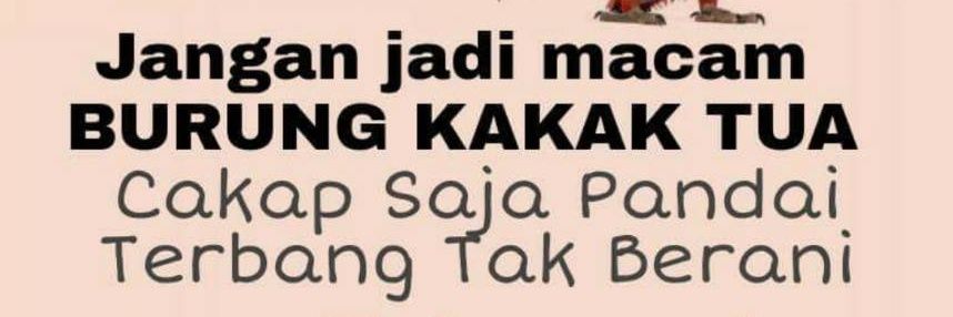 petalingputra's profile banner image