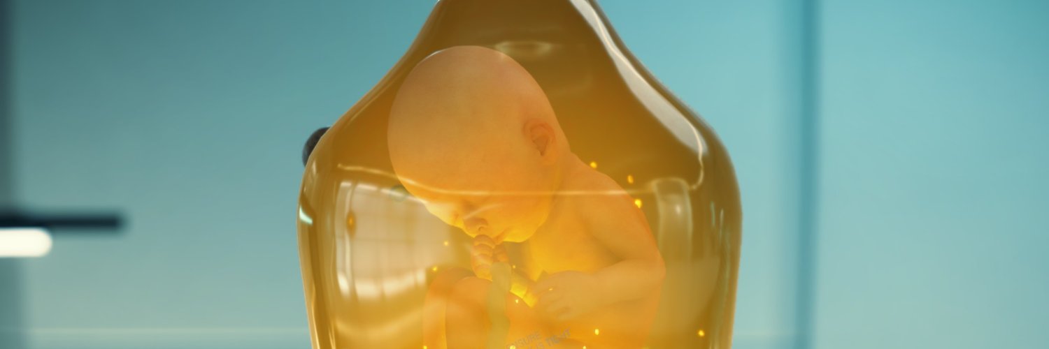 brunocracia's profile banner image