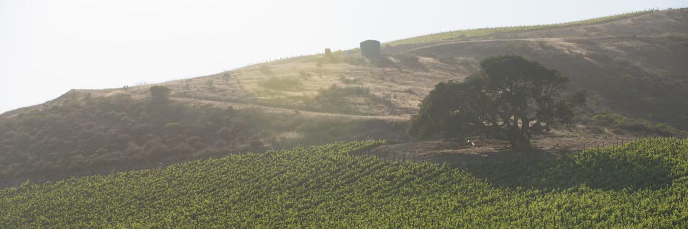 Justin Timsit banner