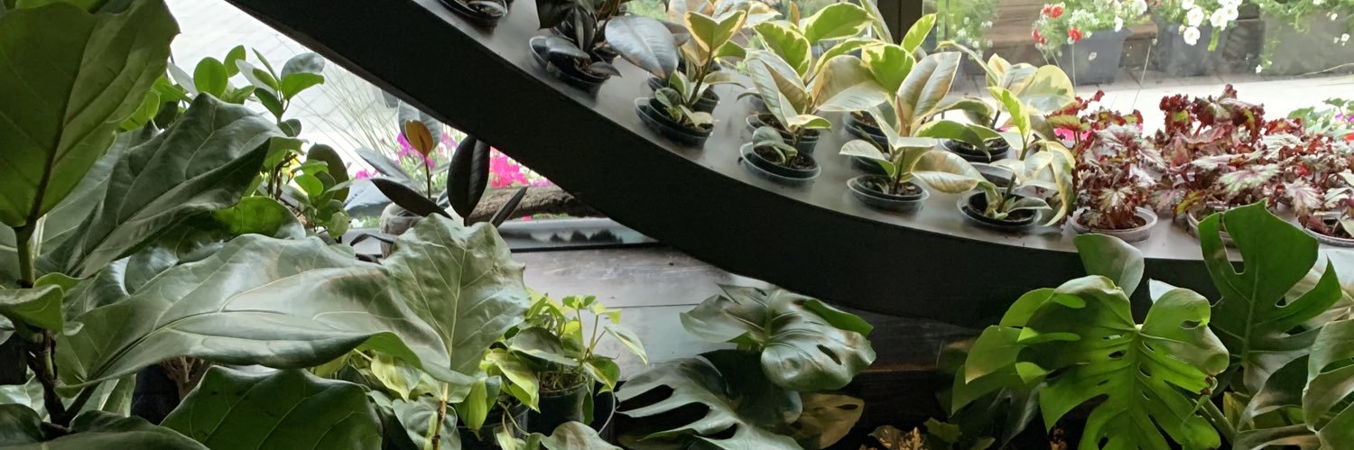 teachingwfoster's profile banner image