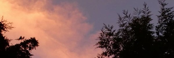 melisa_mvm Profile Banner