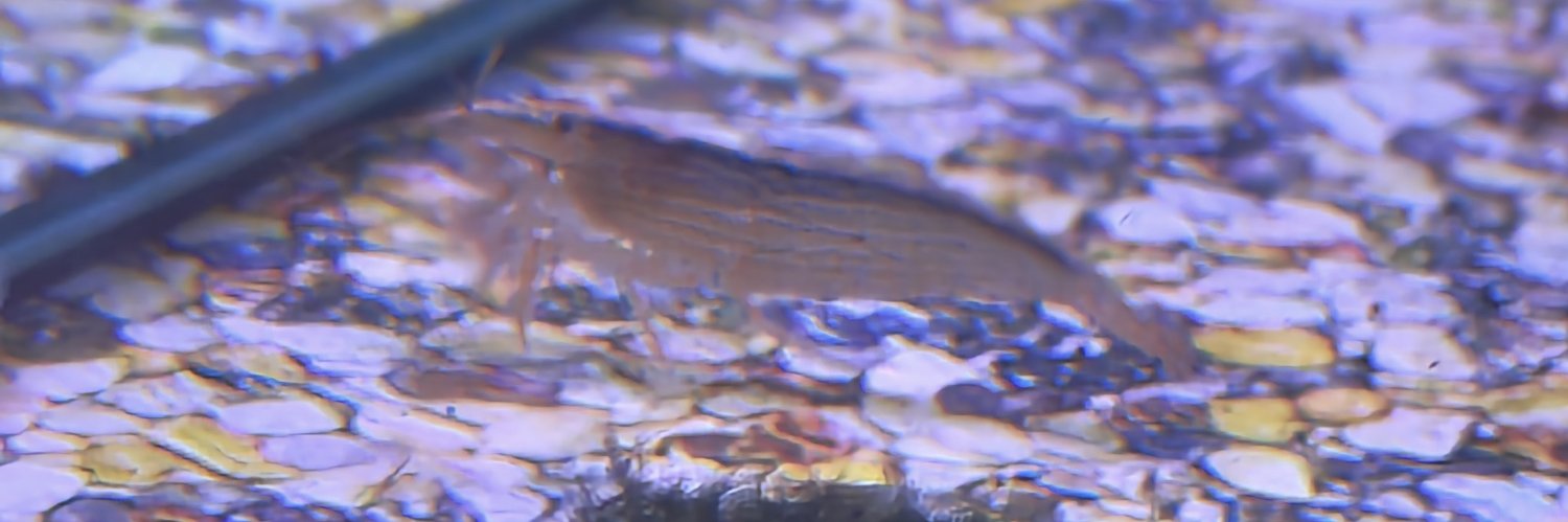 JESTAMAXX's profile banner image