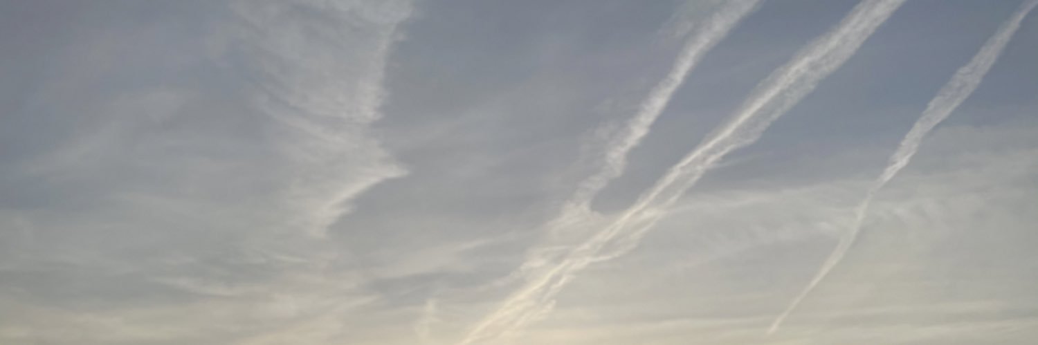 bellaramirez_27 banner