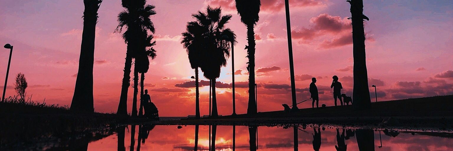 Dinanti ⭐🪽 banner