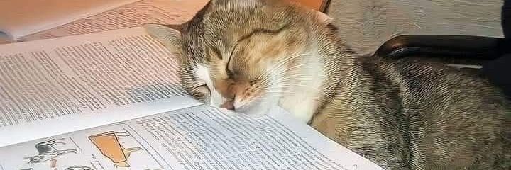 nourannotnour's profile banner image