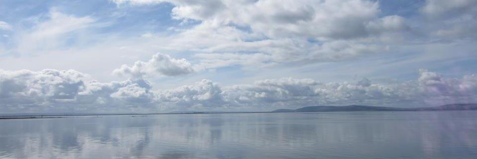 Dr Laura Cashman banner