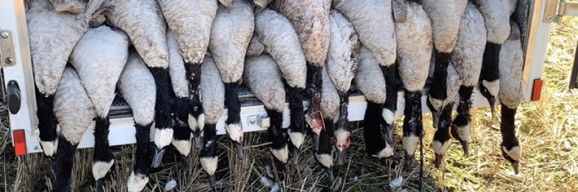 Jake Nagy❗️ banner