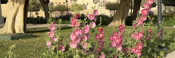fatimalbasha Profile Banner