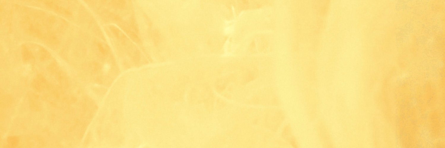 The Black Translators' Network banner