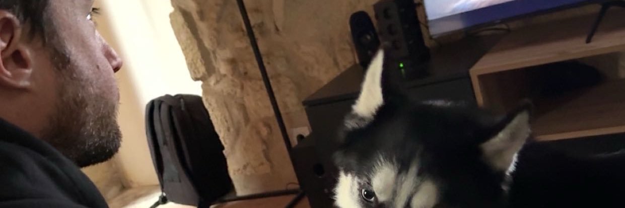 LisaSongis's profile banner image