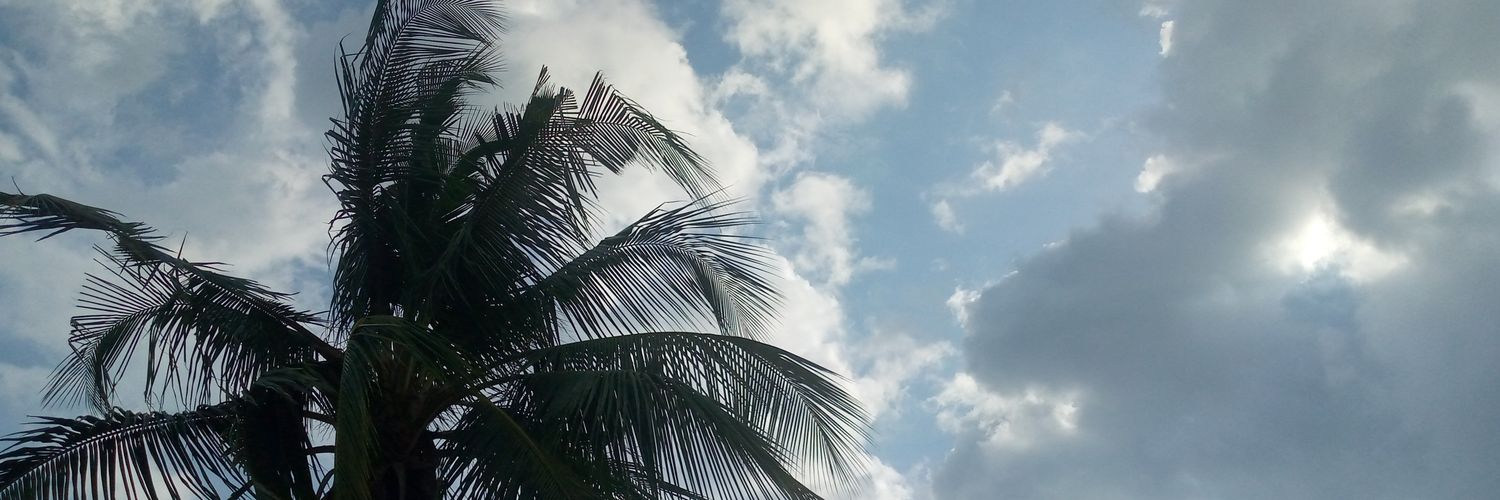 _debbysash's profile banner image