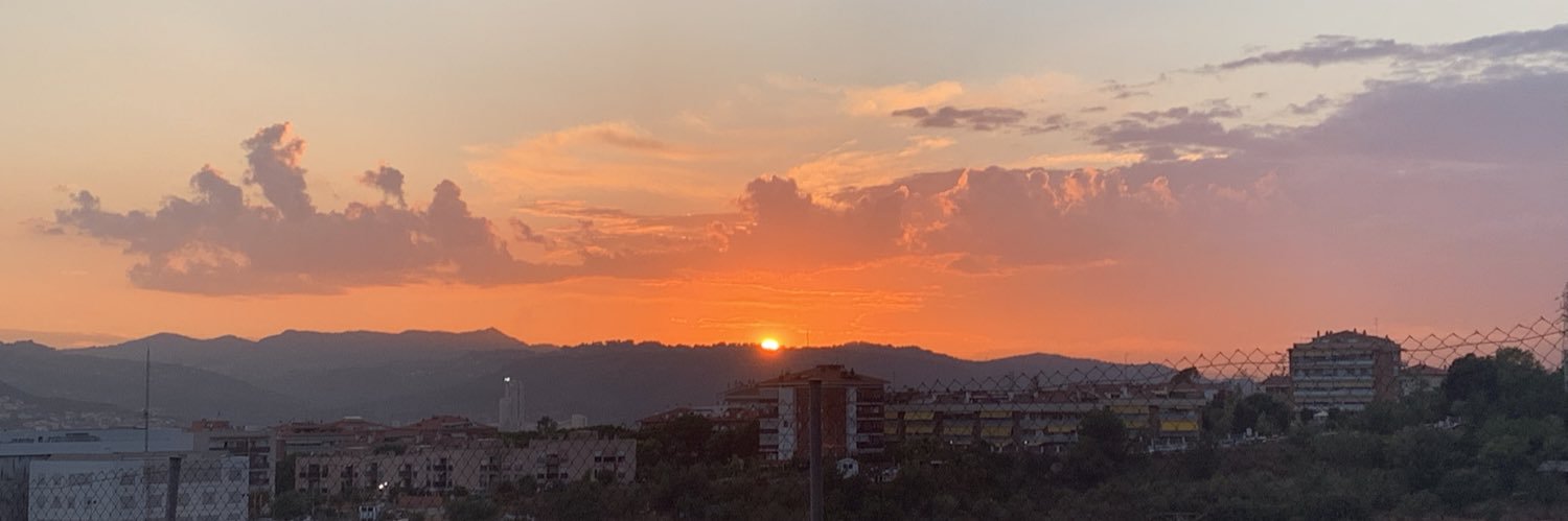 Lluís Remolà banner