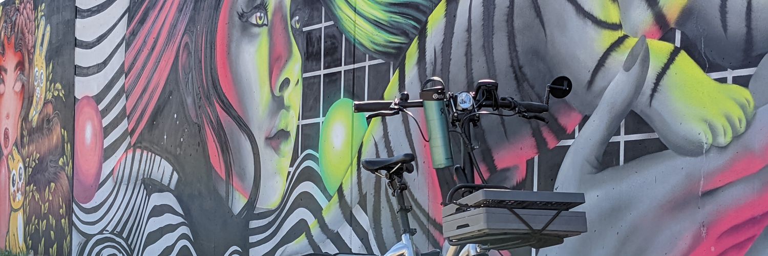 Shady Brady 🚲🌹 banner