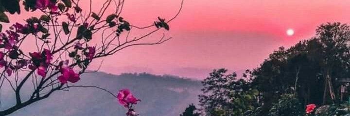 ZannSigma's profile banner image