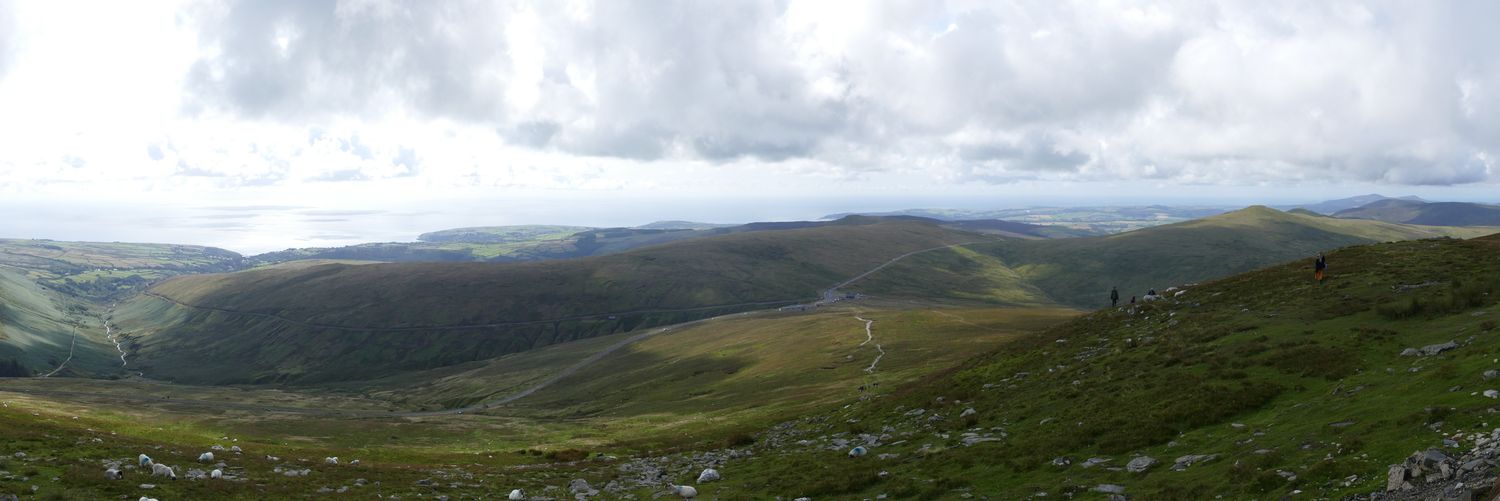 Michael Fraser 🧡 banner