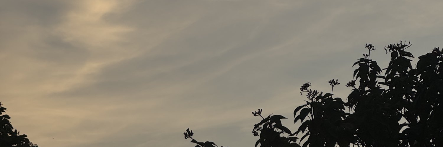 k0vpt's profile banner image