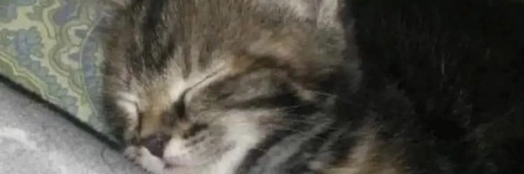 2PacOpita's profile banner image