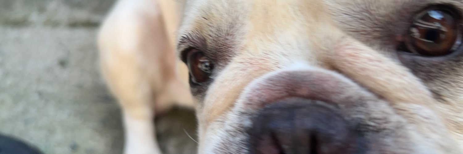 Reesieee_'s profile banner image