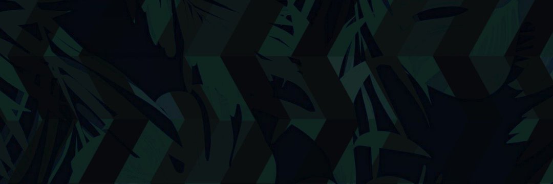 AnônimoAutêntico banner