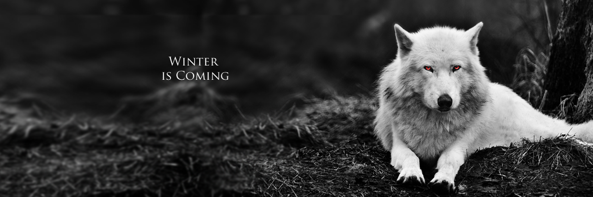 Nox503's profile banner image