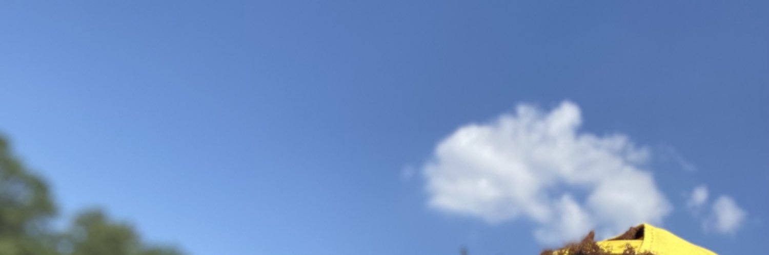 King_Lackey3rd's profile banner image