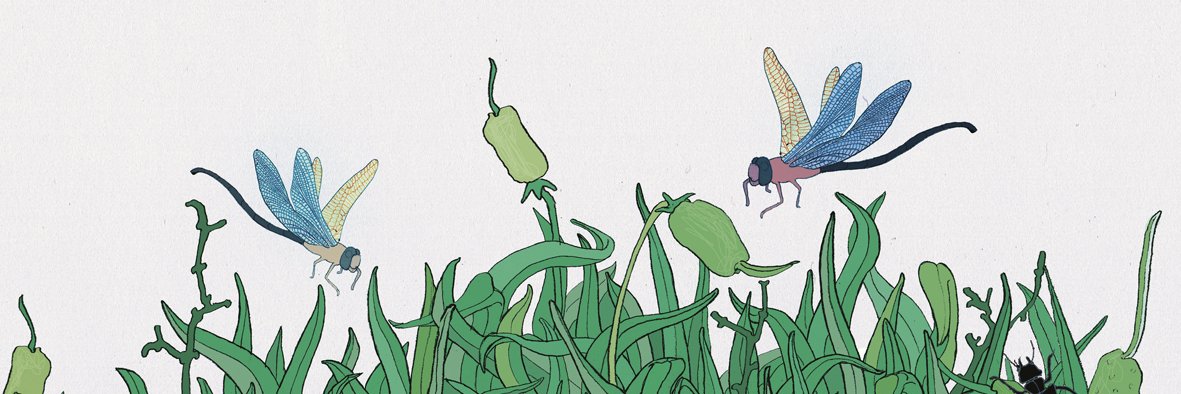 Picnic banner