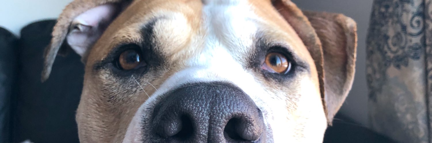 Dbabb2's profile banner image