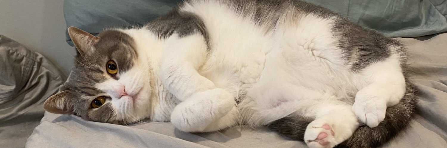 PublicDefCats's profile banner image
