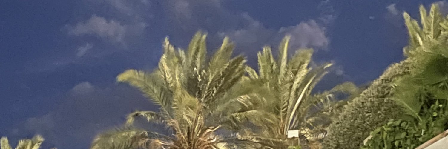 3lmt7or banner