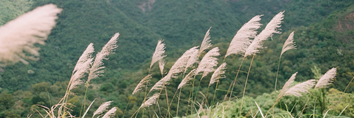 WSSS_SA's profile banner image