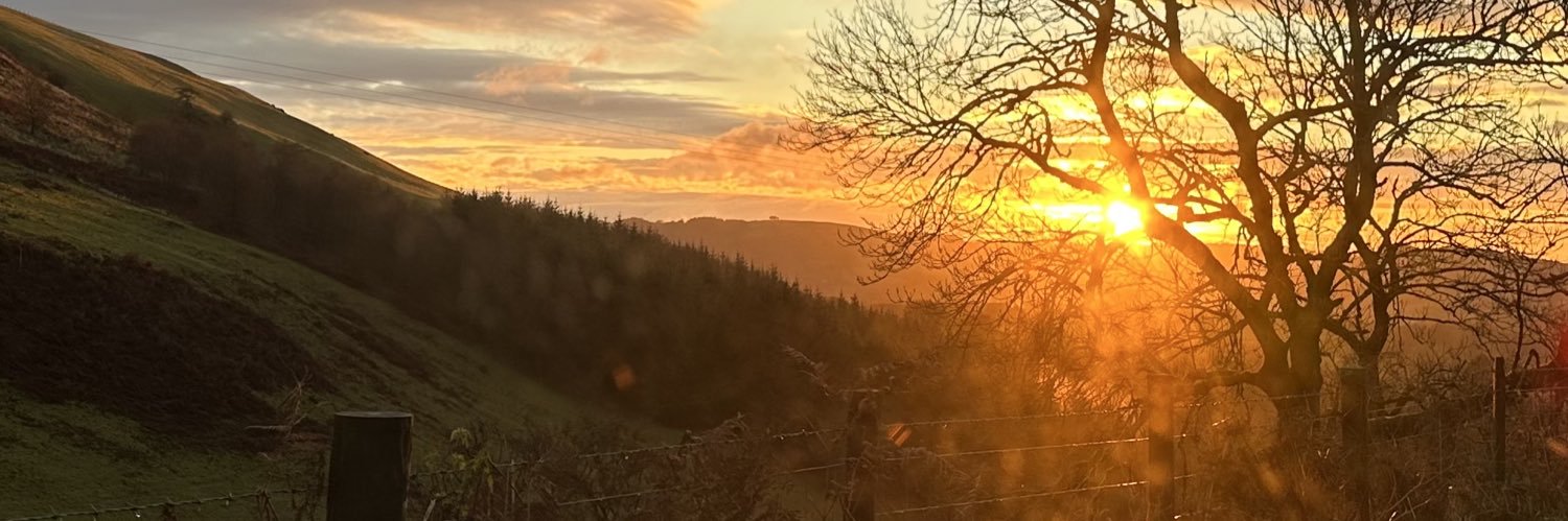 Ecoreflections banner