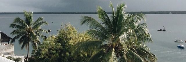 RubyRoseCarr's profile banner image