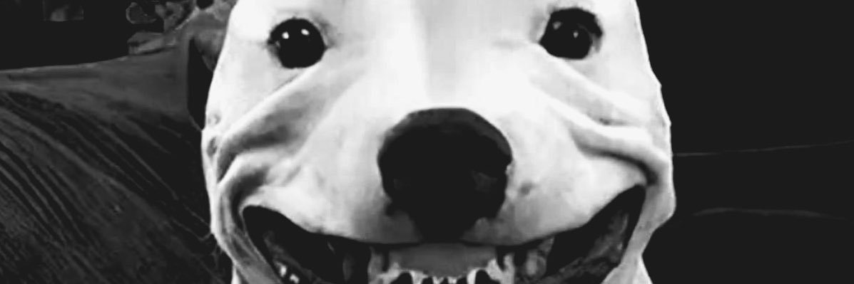 🔞N Ǝ R O 🔞 banner