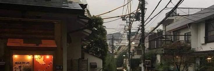 notLu banner