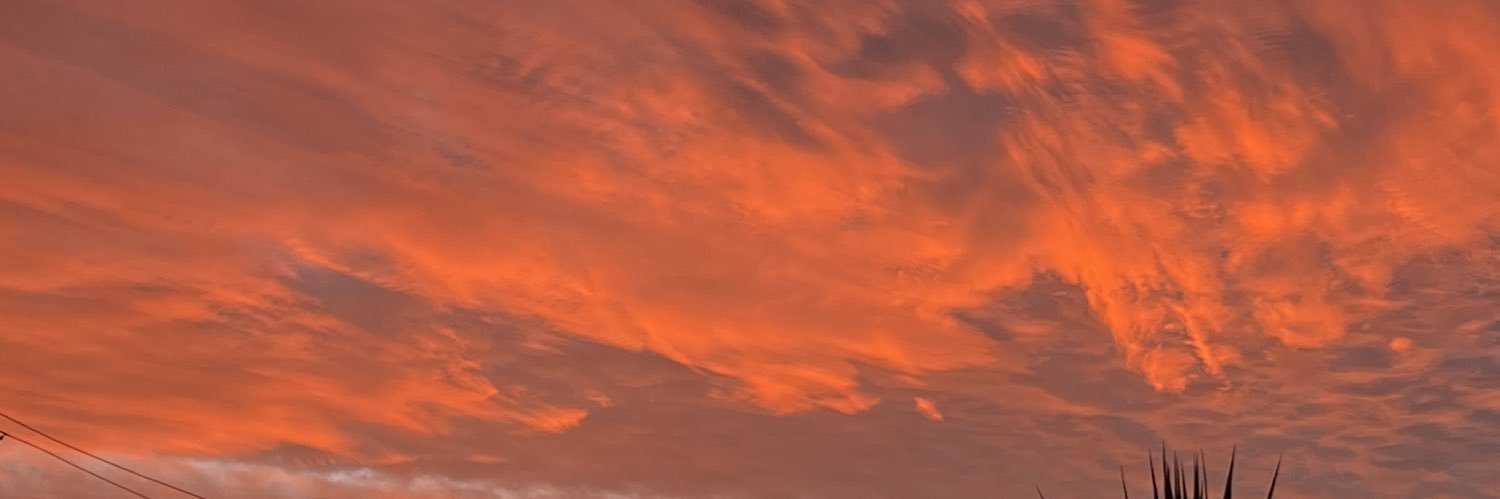 Berenicevb27's profile banner image