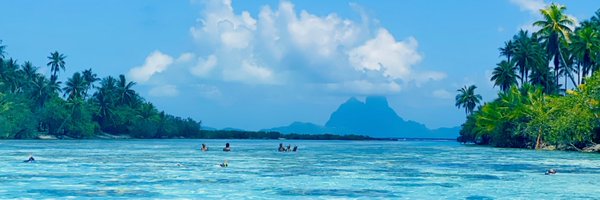 bradw_taylor Profile Banner