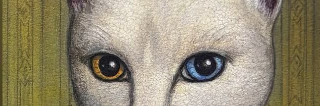 Hfish banner