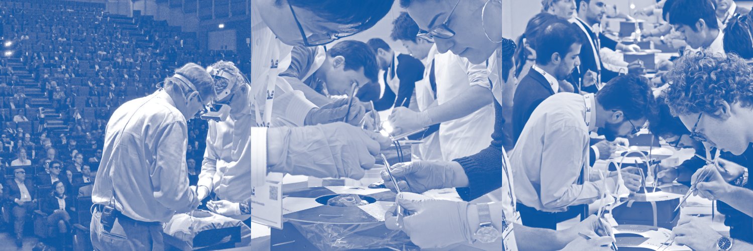 European Vascular Course banner