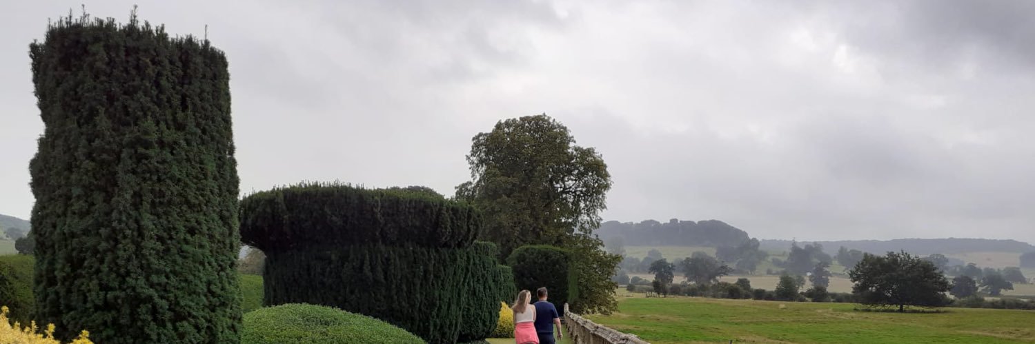 Terri Armfield OT banner