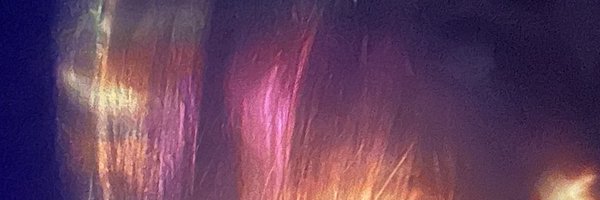 halz Profile Banner