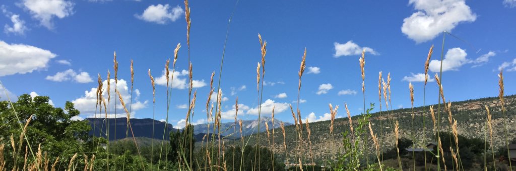 TrollScalper's profile banner image