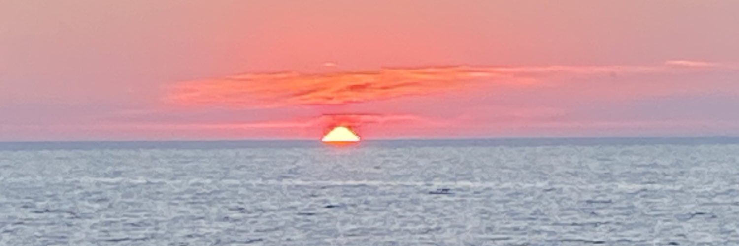 Chipotle Nakamoto banner