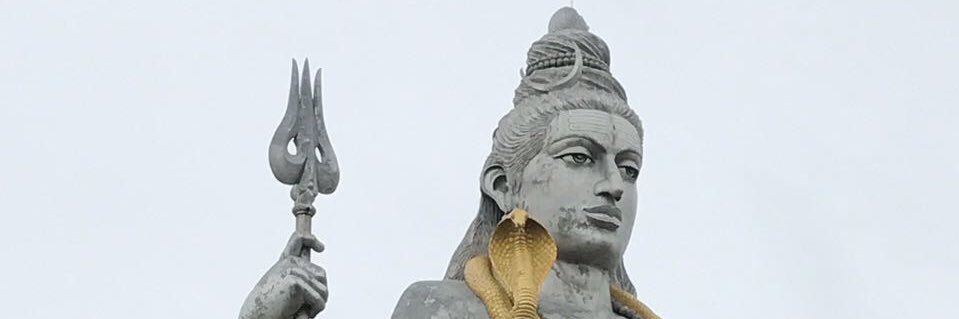 peepal59's profile banner image