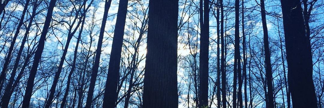 michaelnolan's profile banner image